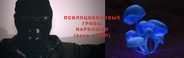 гидропоника Армянск